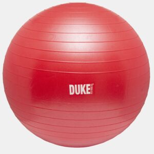 Duke Jumppapallo 55 cm monipuolisiin treeneihin.